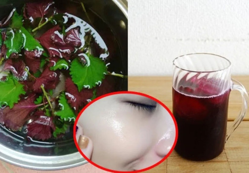 Lợi ích khi xông mặt bằng lá tía tô